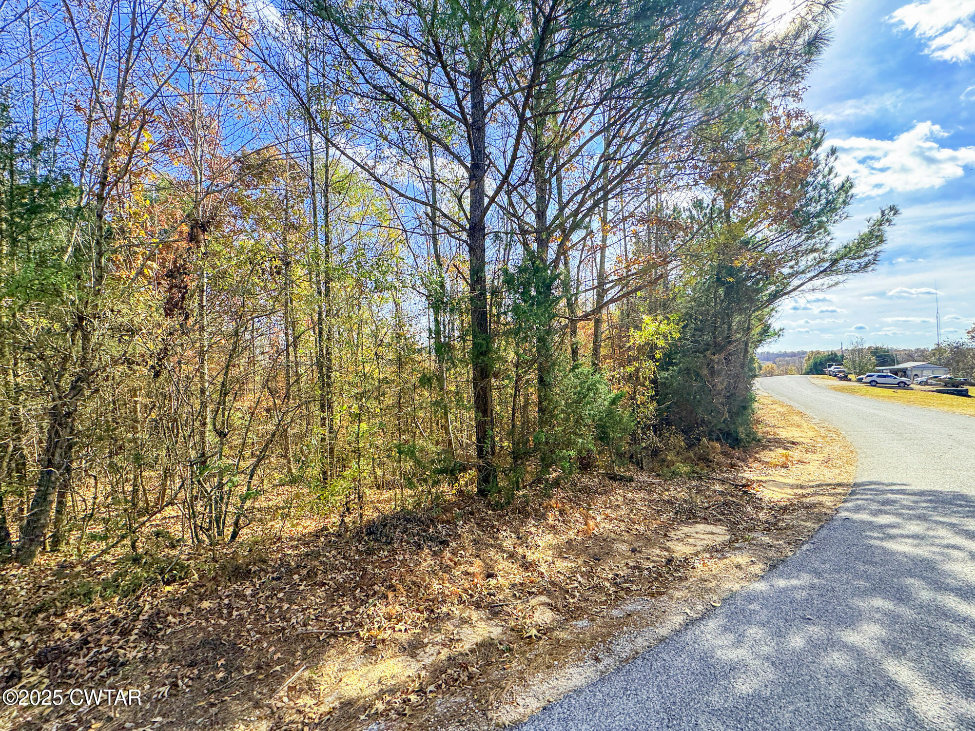 0 Beech Ridge Road Parsons, TN 38363 - Photo 8 of 10 a view of a yard with plants and trees