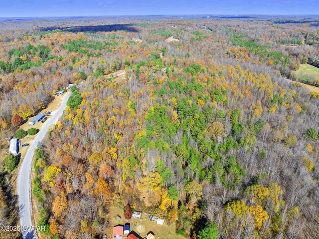 a view of a with lush green forest
