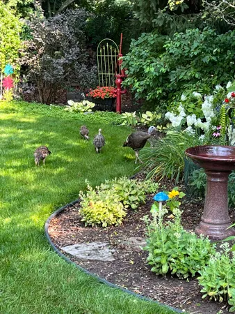 $529,900 | 3113 Park Lawn Court, Appleton, WI 54911