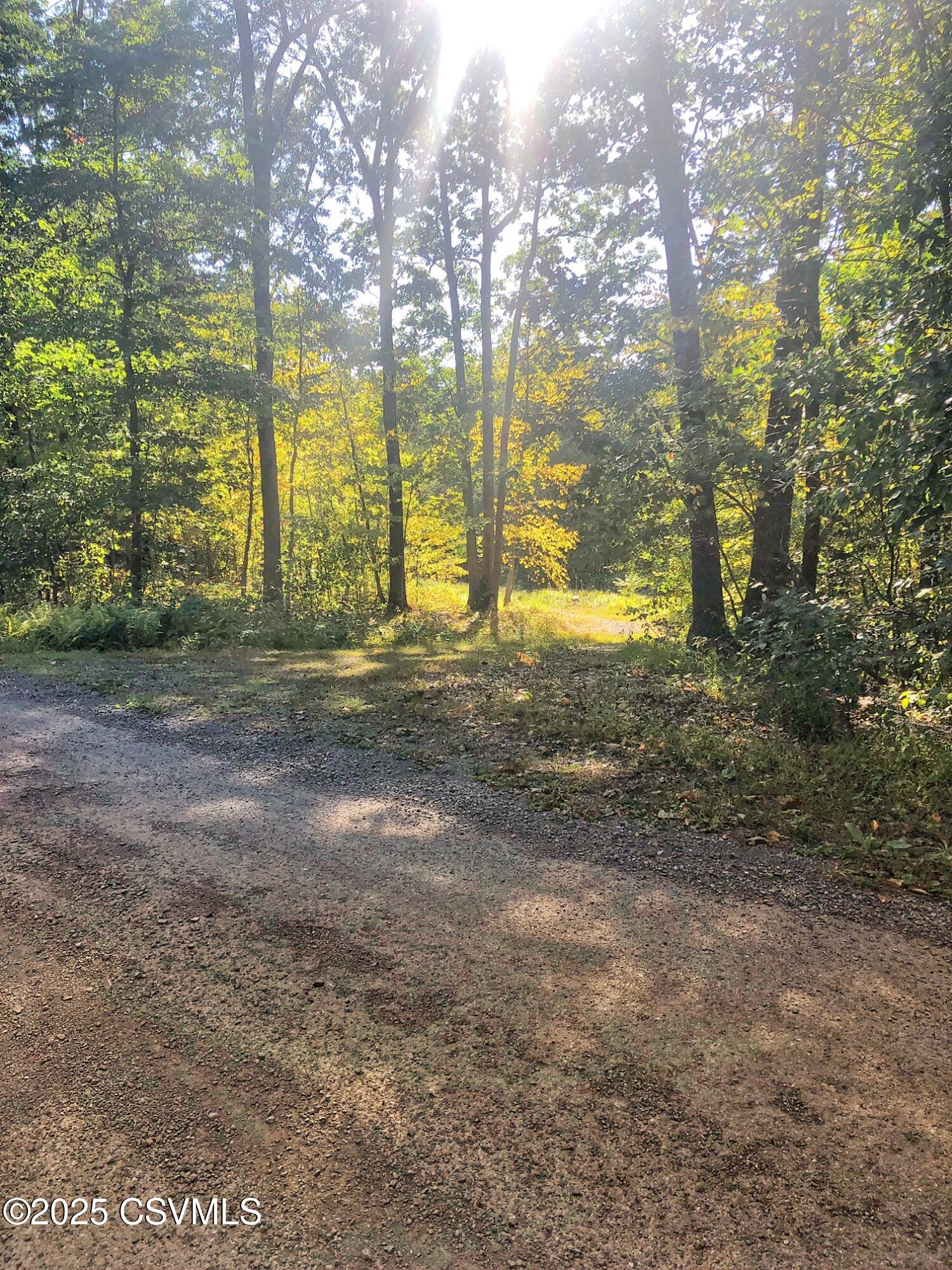 40 Wood Ridge Lane Klingerstown, PA 17941 - Photo 4 of 12