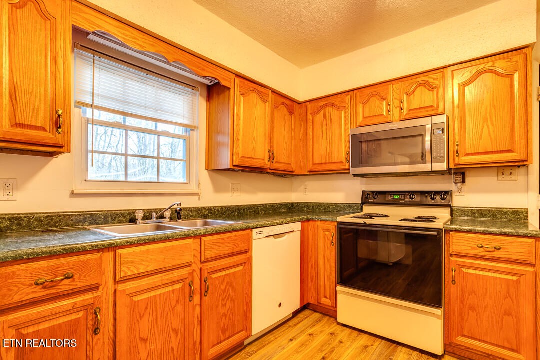 3416 Big Springs Ridge Road Friendsville, TN 37737 - Photo 8 of 24 Gallery Image 8