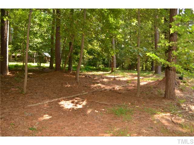 5004 Springwood Drive Raleigh, NC 27613 - Photo 20 of 22 a view of a yard with a tree
