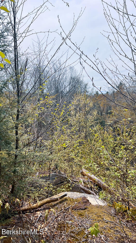 58 Stanley Road East Otis, MA 01029 - Photo 4 of 14 a view of a yard
