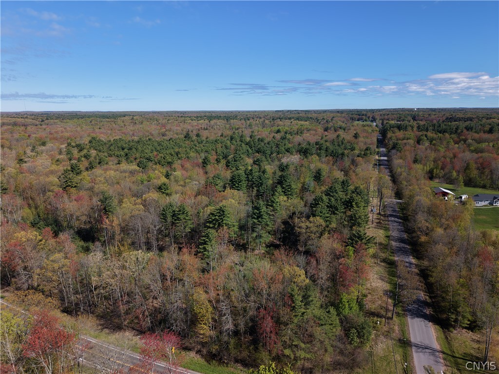 49 State Route Bernhards Bay, NY 13028 - Photo 14 of 50