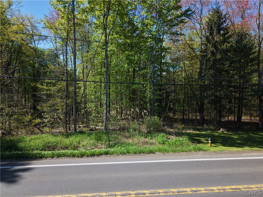 49 State Route Bernhards Bay, NY 13028 - Photo 16 of 50