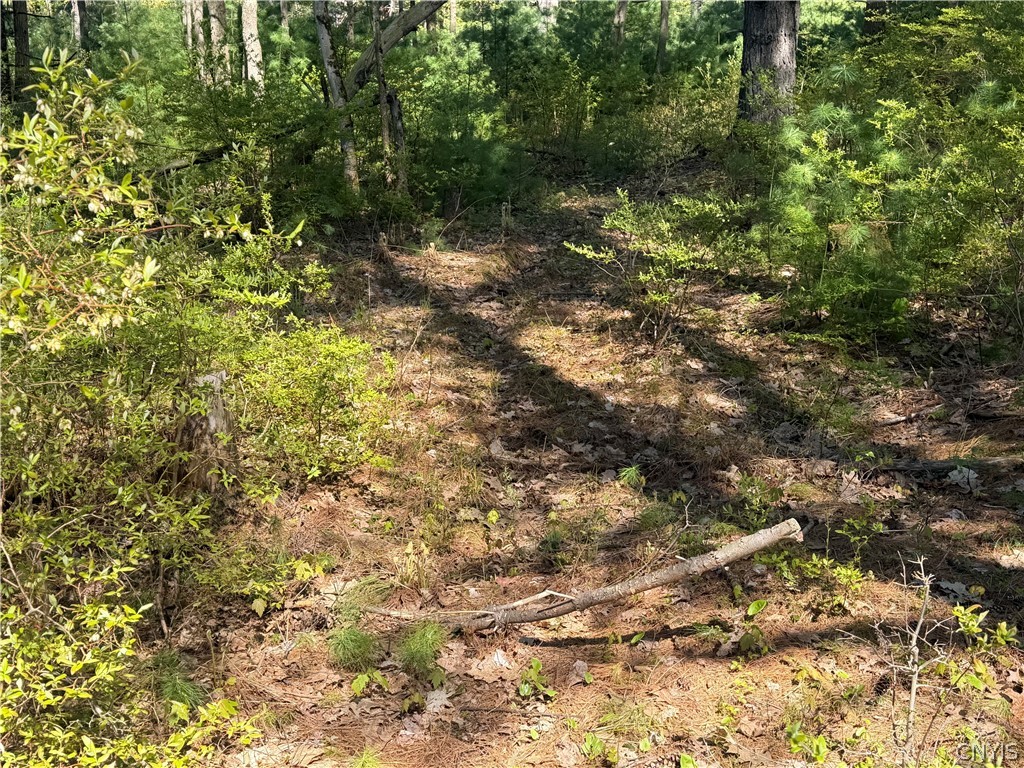 49 State Route Bernhards Bay, NY 13028 - Photo 19 of 50