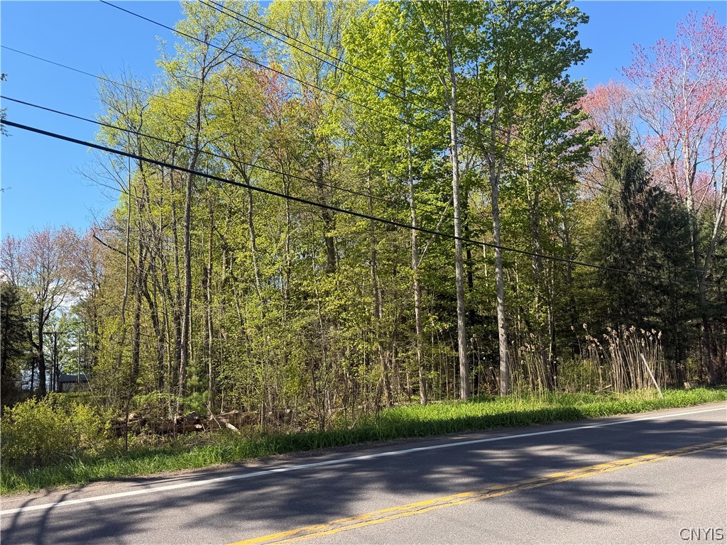 49 State Route Bernhards Bay, NY 13028 - Photo 22 of 50