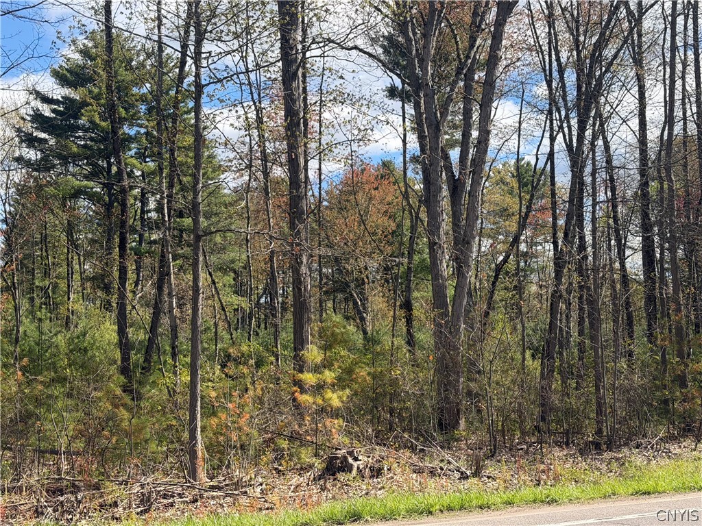 49 State Route Bernhards Bay, NY 13028 - Photo 23 of 50
