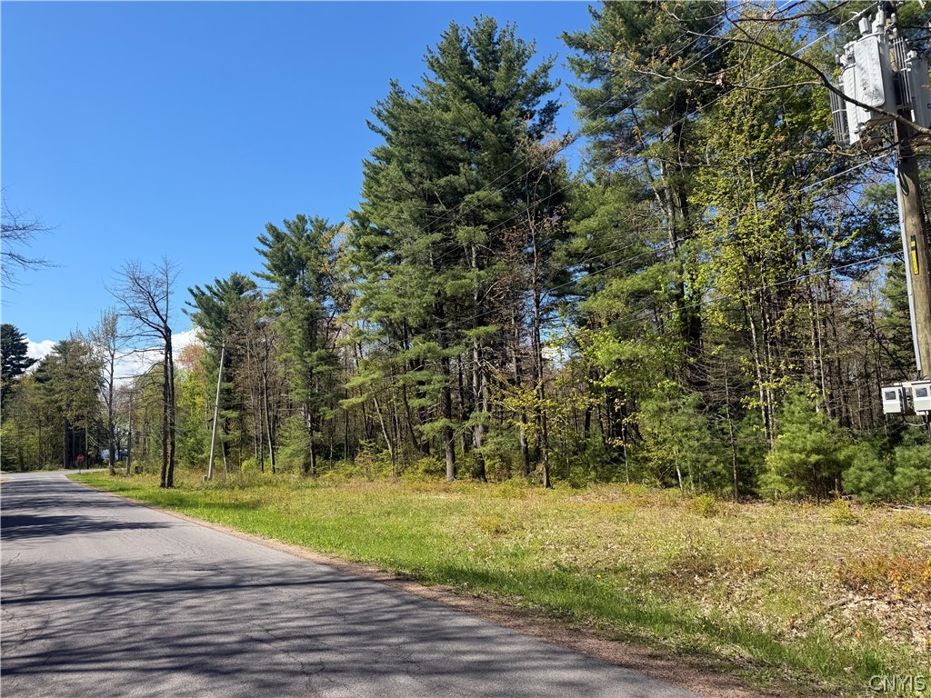 49 State Route Bernhards Bay, NY 13028 - Photo 24 of 50