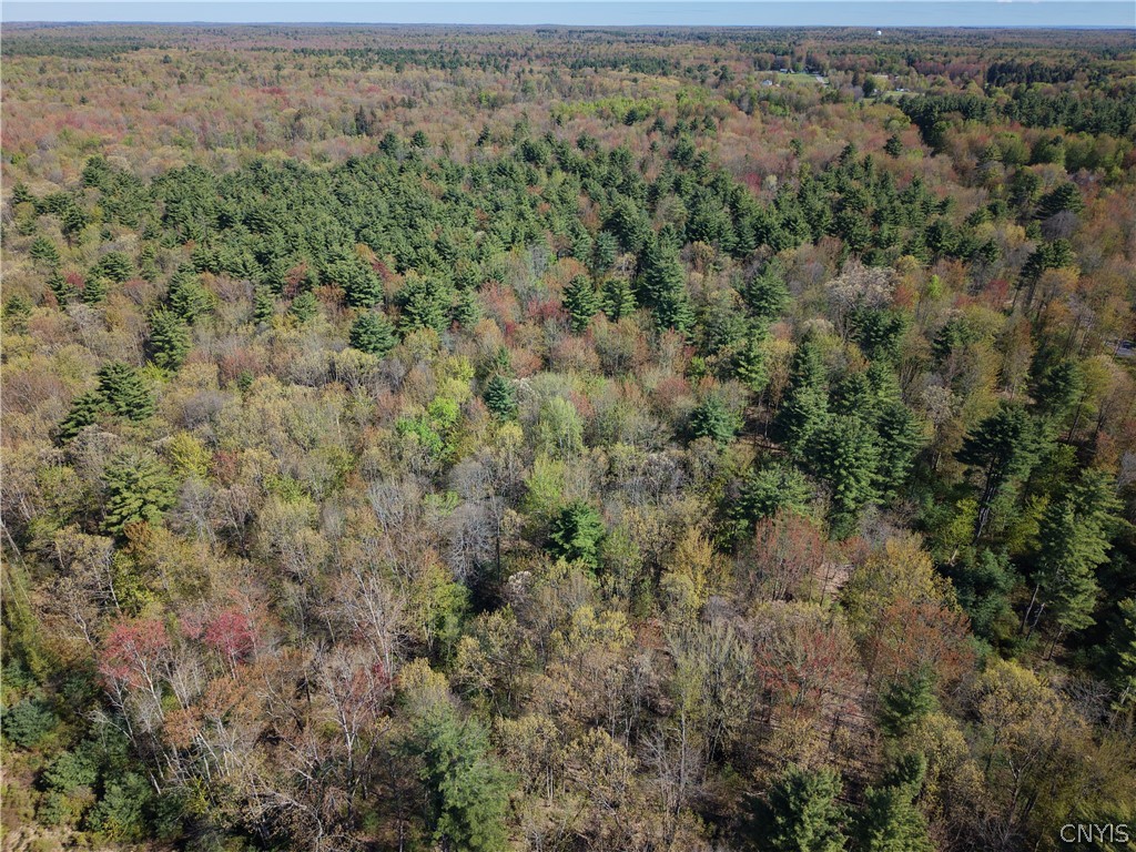 49 State Route Bernhards Bay, NY 13028 - Photo 27 of 50