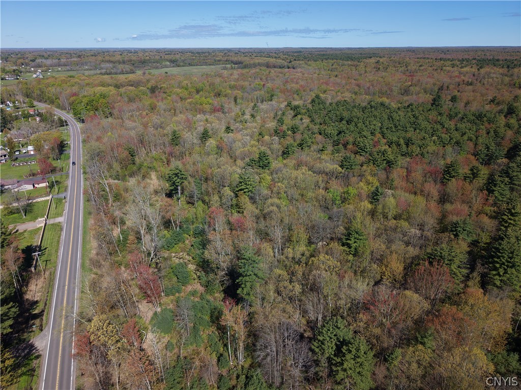 49 State Route Bernhards Bay, NY 13028 - Photo 28 of 50