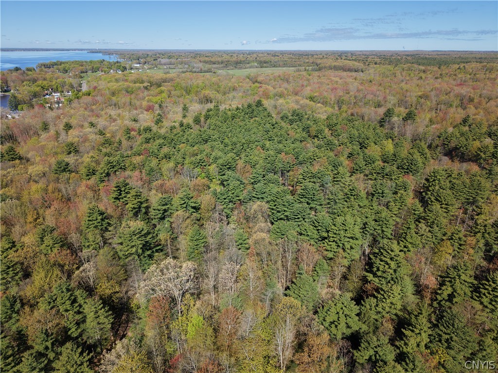 49 State Route Bernhards Bay, NY 13028 - Photo 29 of 50