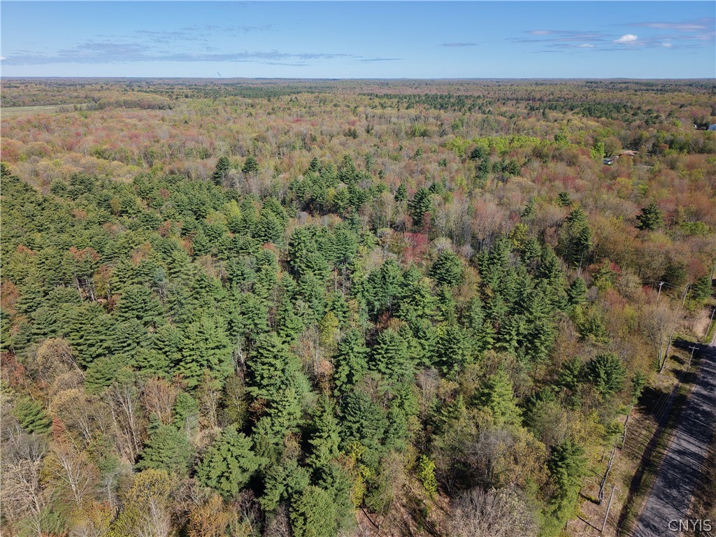 49 State Route Bernhards Bay, NY 13028 - Photo 30 of 50