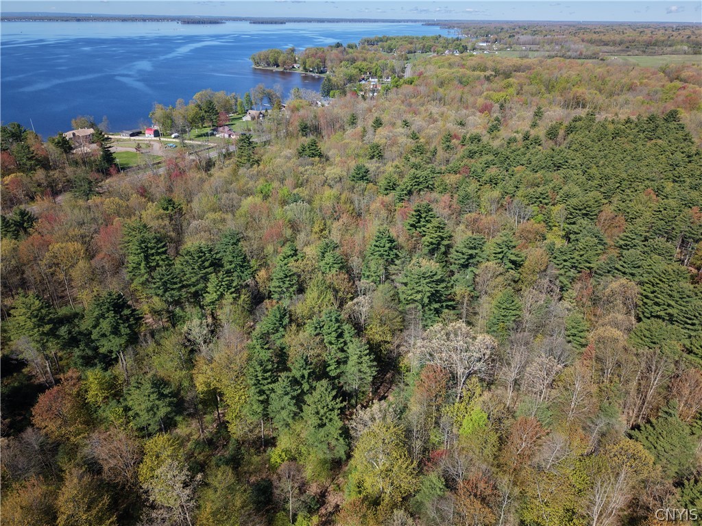 49 State Route Bernhards Bay, NY 13028 - Photo 31 of 50