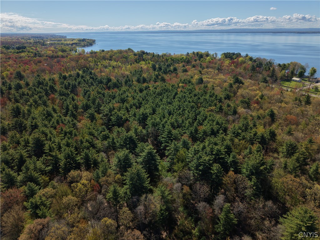 49 State Route Bernhards Bay, NY 13028 - Photo 32 of 50