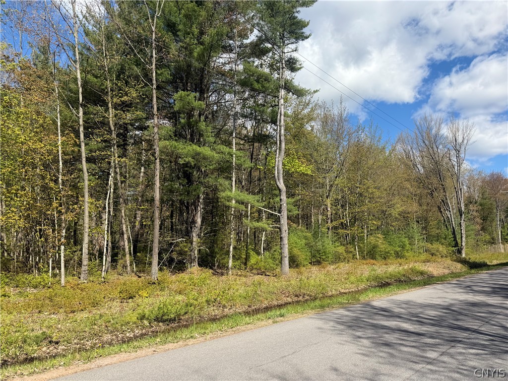49 State Route Bernhards Bay, NY 13028 - Photo 35 of 50