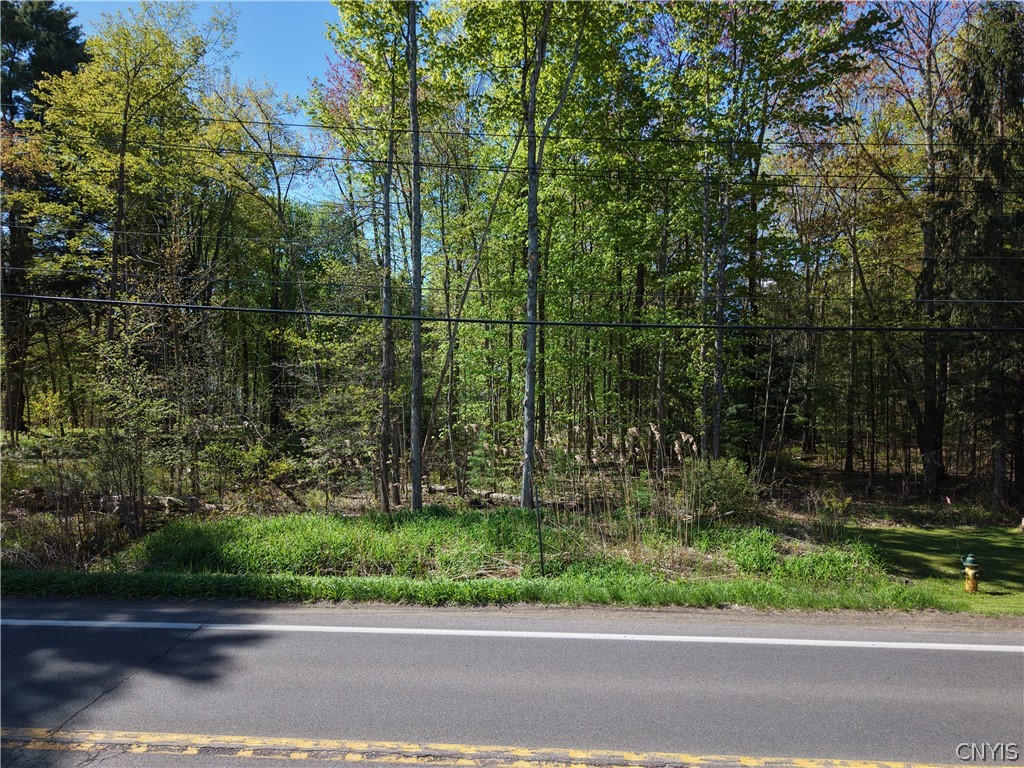 49 State Route Bernhards Bay, NY 13028 - Photo 38 of 50