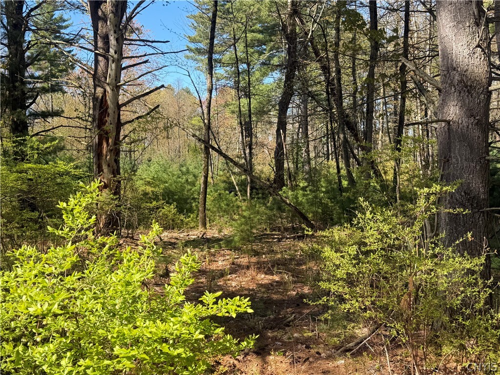 49 State Route Bernhards Bay, NY 13028 - Photo 40 of 50