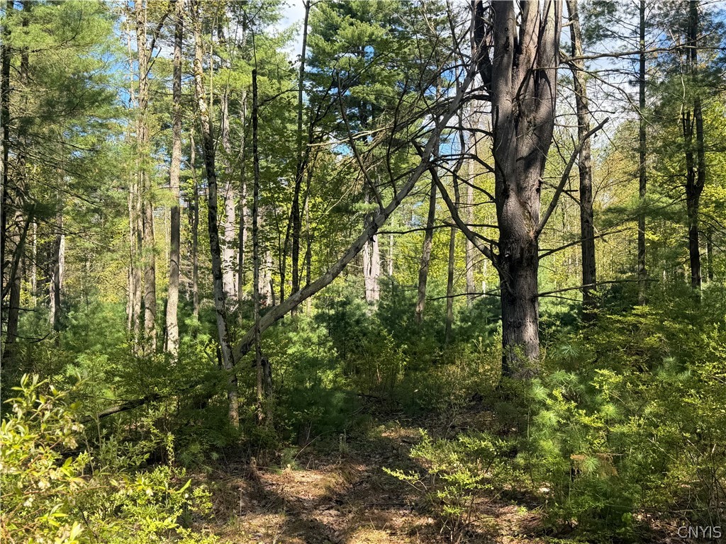 49 State Route Bernhards Bay, NY 13028 - Photo 41 of 50