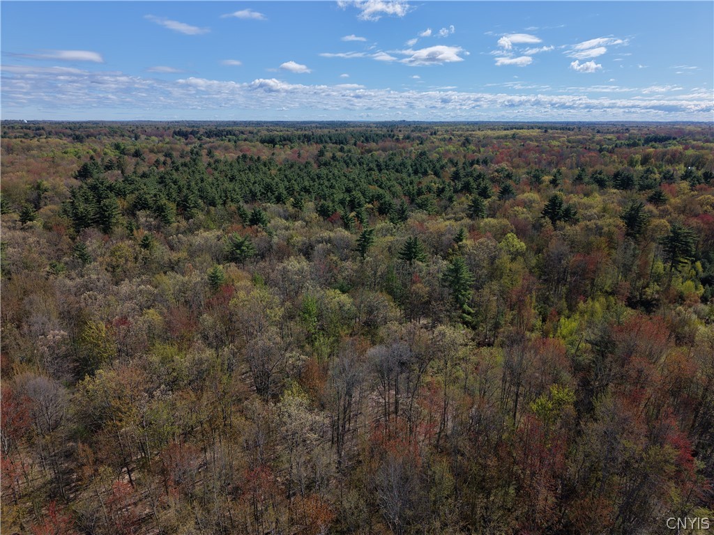 49 State Route Bernhards Bay, NY 13028 - Photo 43 of 50