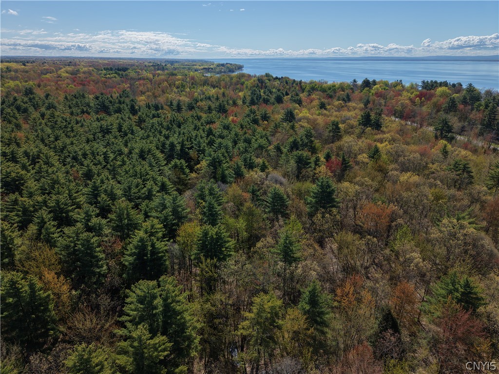 49 State Route Bernhards Bay, NY 13028 - Photo 44 of 50