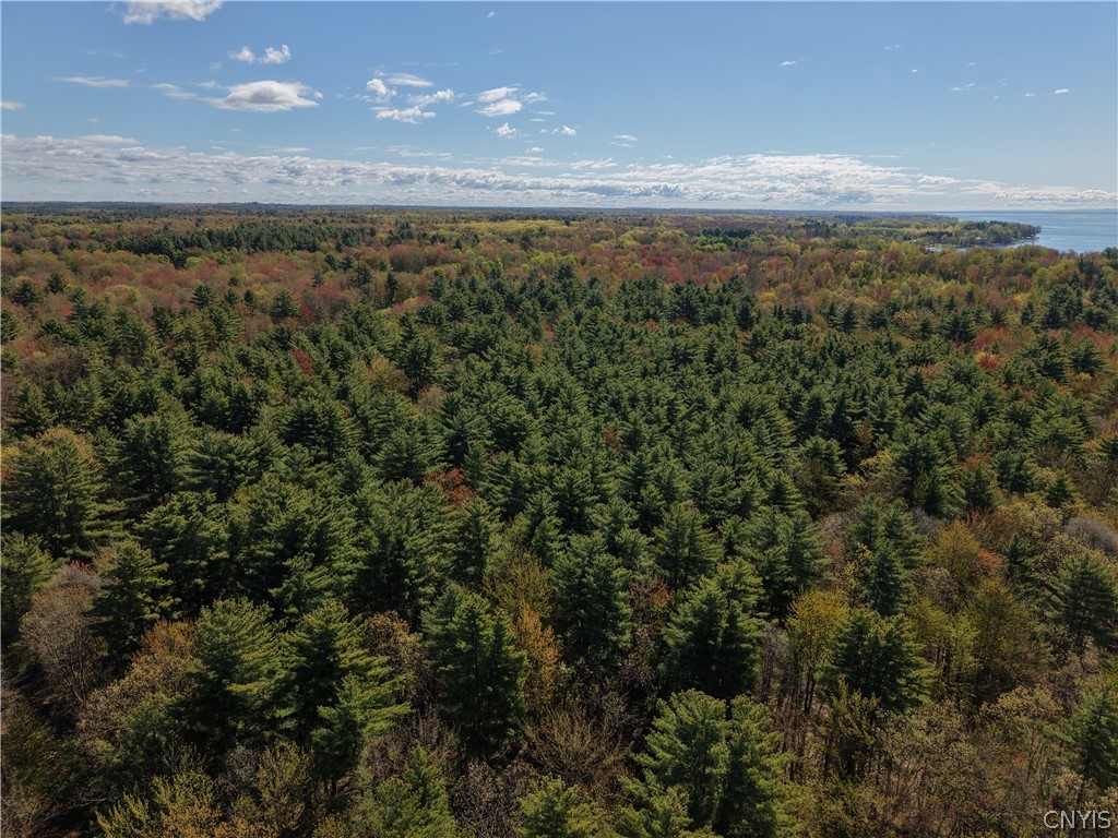 49 State Route Bernhards Bay, NY 13028 - Photo 45 of 50