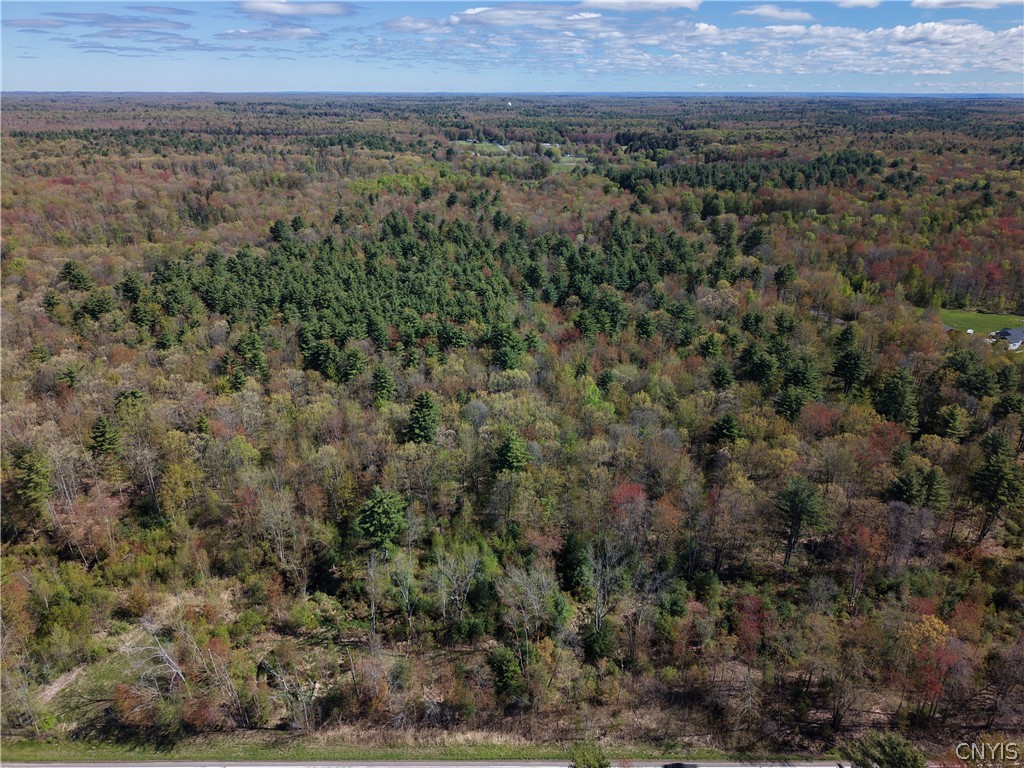 49 State Route Bernhards Bay, NY 13028 - Photo 46 of 50