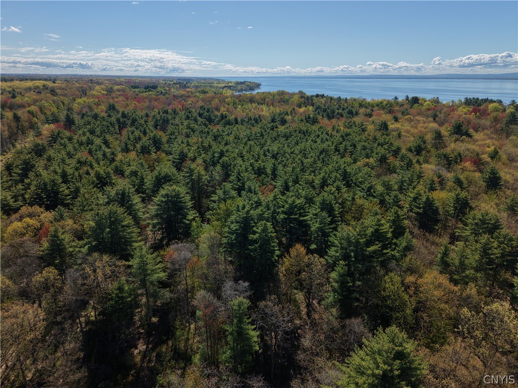 49 State Route Bernhards Bay, NY 13028 - Photo 47 of 50