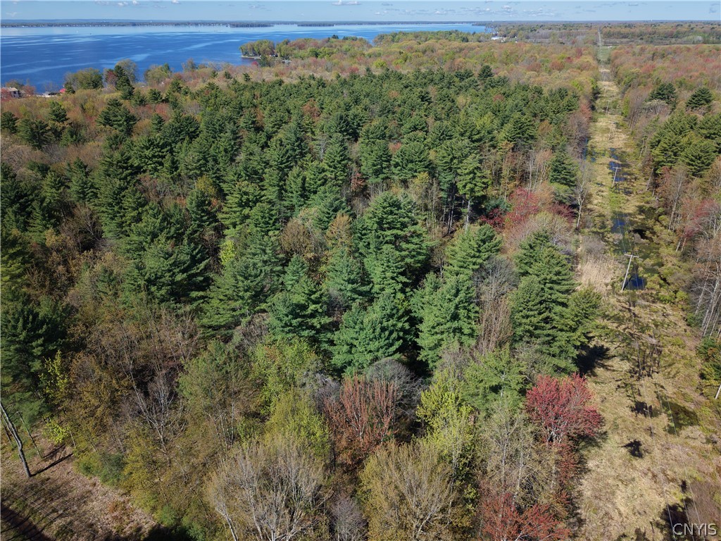 49 State Route Bernhards Bay, NY 13028 - Photo 48 of 50