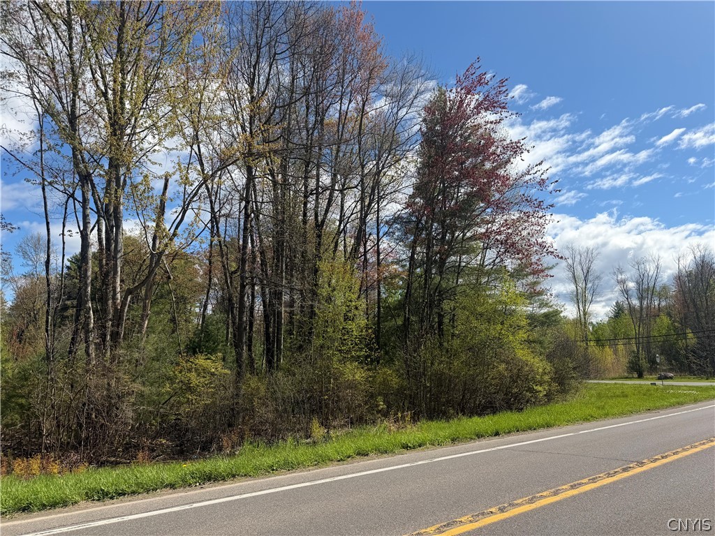 49 State Route Bernhards Bay, NY 13028 - Photo 6 of 50