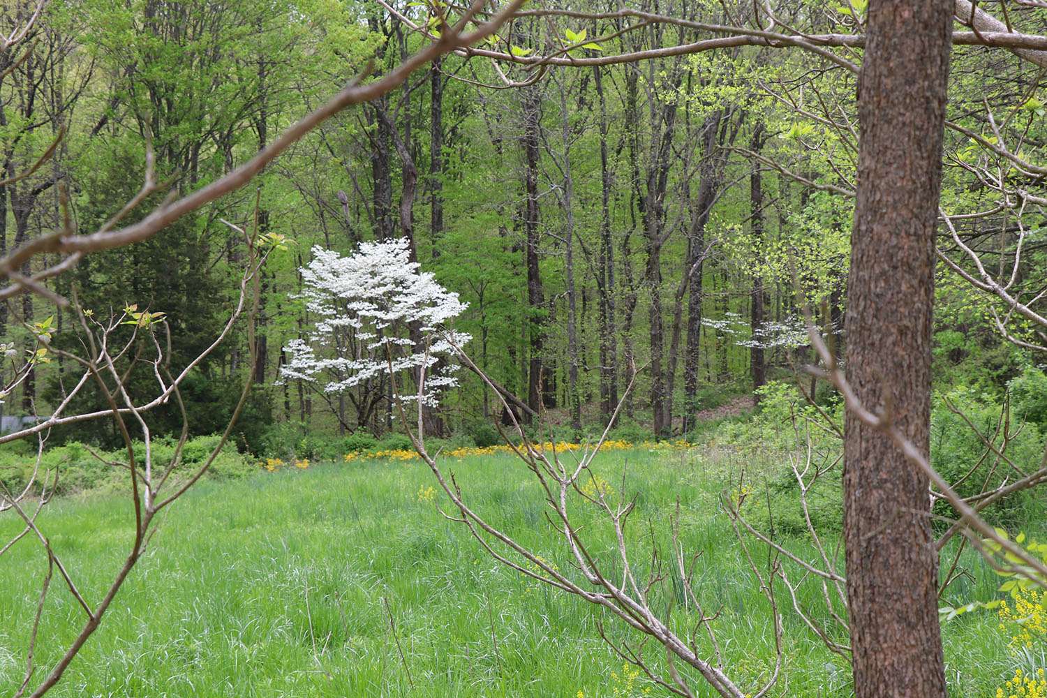 7659 South Mt Zion Road Bloomington, IN 47403 - Photo 22 of 35 Gallery Image 22