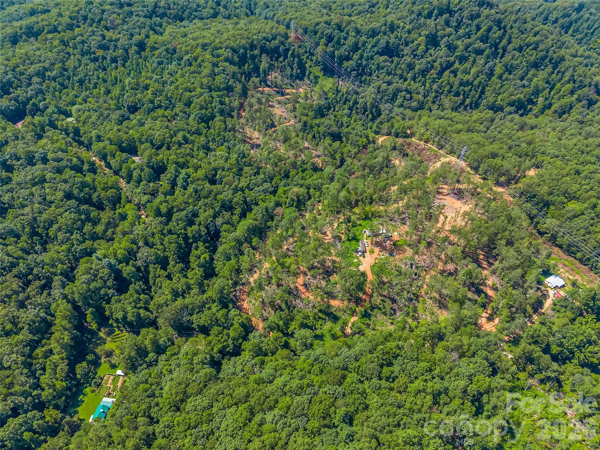 Tbd Early Road Saluda, NC 28773 - Photo 15 of 35 Gallery Image 15