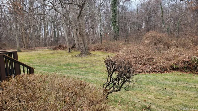 a view of a yard with large trees