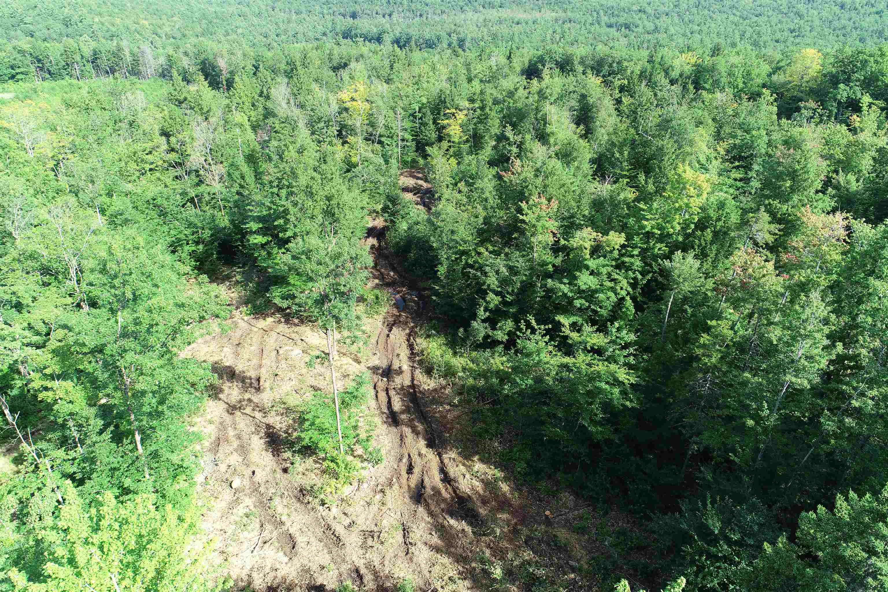 63 Ossipee Mountain Rd Unit 63/116  