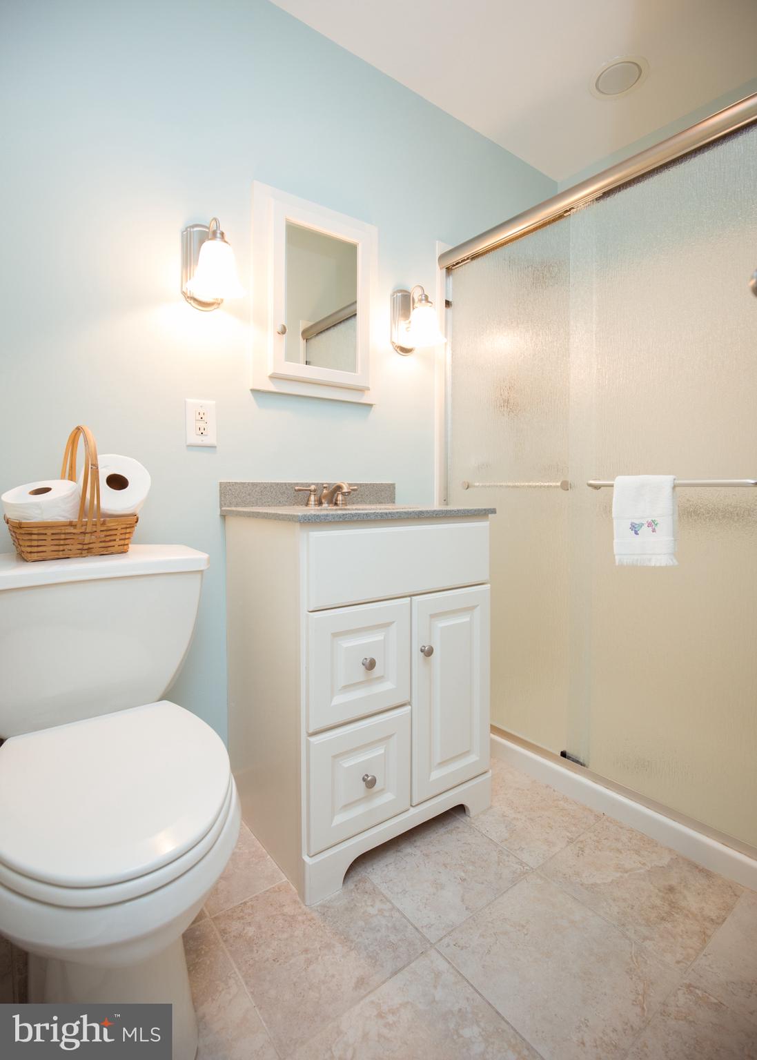 218 Pebble Ridge Road Warrington, PA 18976 - Photo 25 of 41 Main Bedroom with stall shower