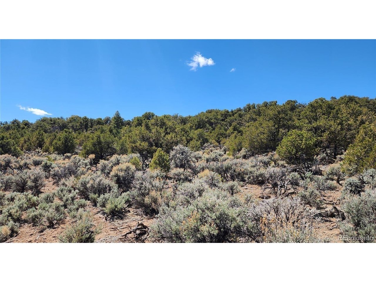 48 Erin The Red Road San Luis, CO 81152 - Photo 5 of 6 a open area with a yard
