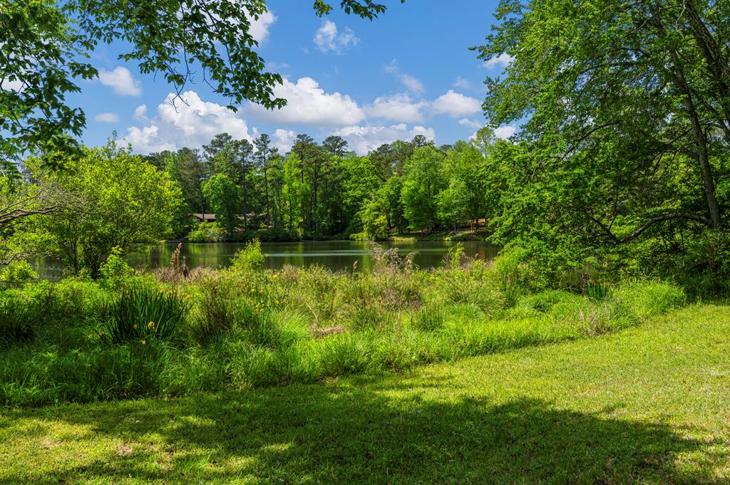 14214 Farmington Road Upatoi, GA 31829 - Photo 35 of 43 Gallery Image 35