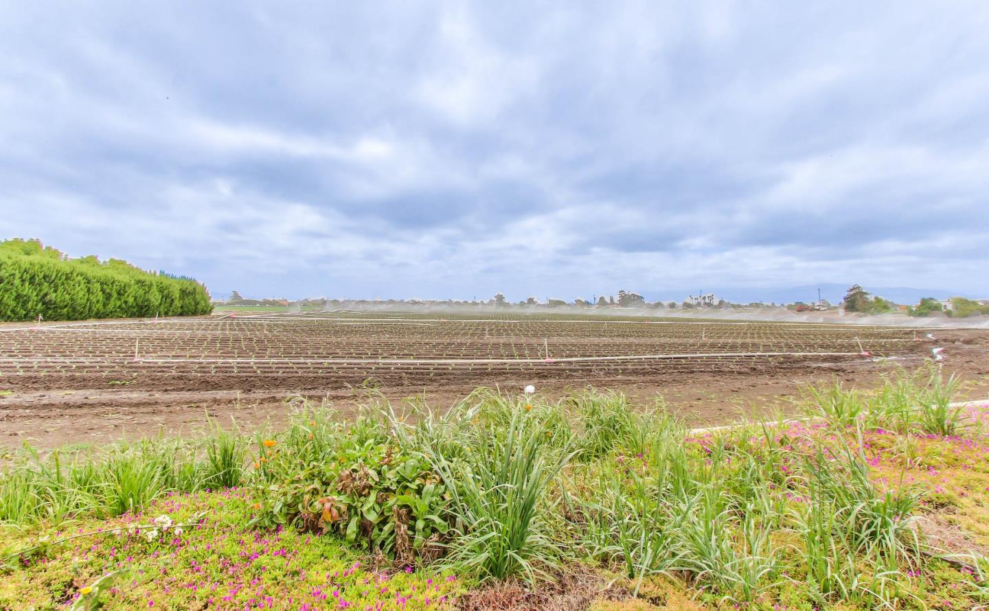 645 Boronda Road Salinas, CA 93907 - Photo 23 of 31 Gallery Image 23