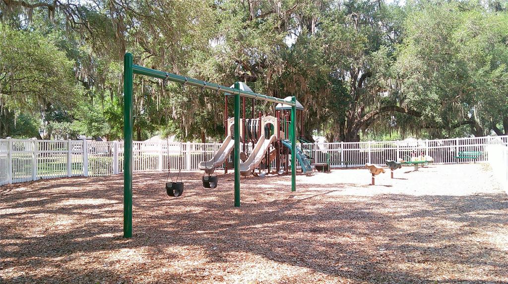 3336 Santa Rita Lane Land O Lakes, FL 34639 - Photo 28 of 29