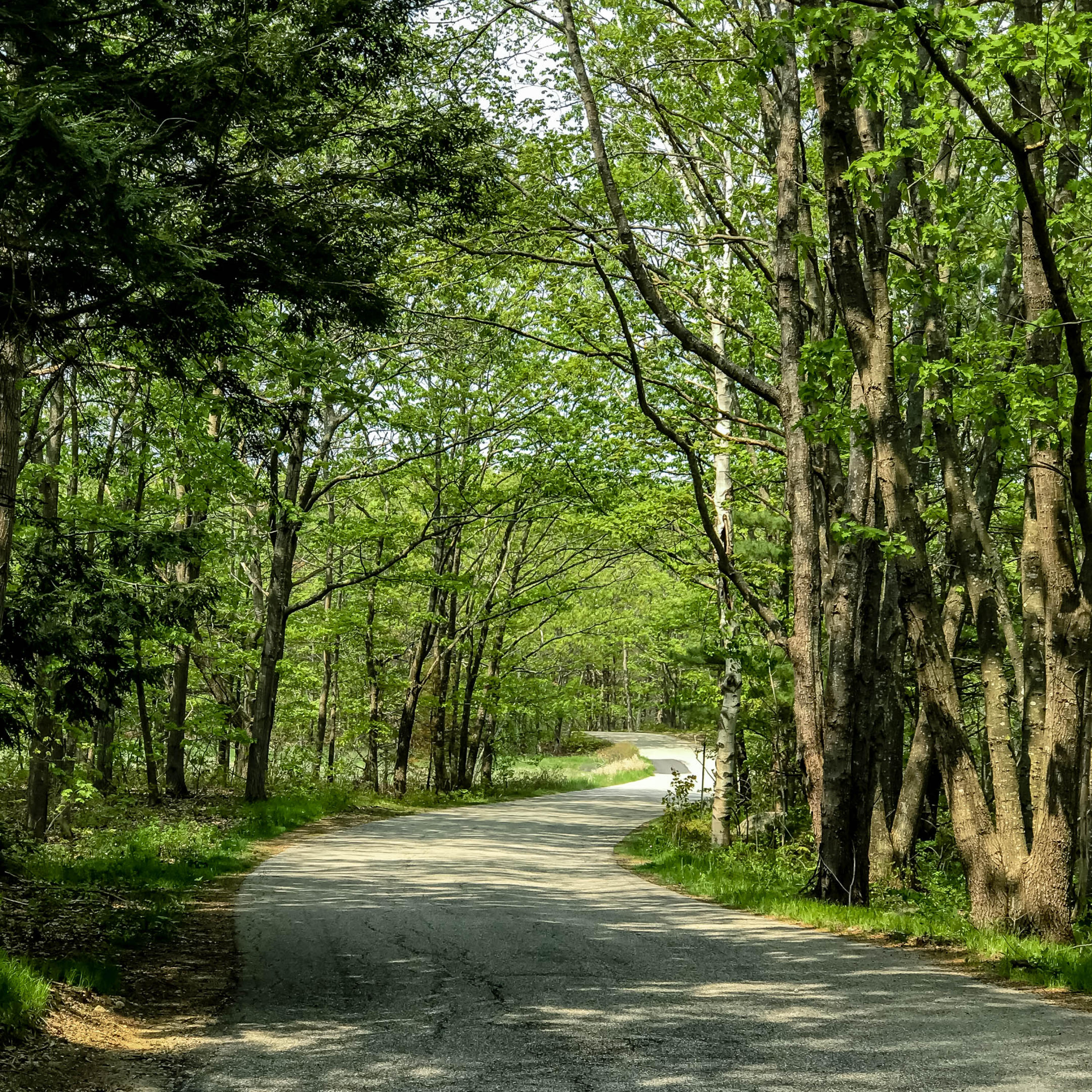 135 R Marshall Point Road Kennebunkport, ME 04046 - Photo 7 of 16 Beautiful entrance to Marshall Point