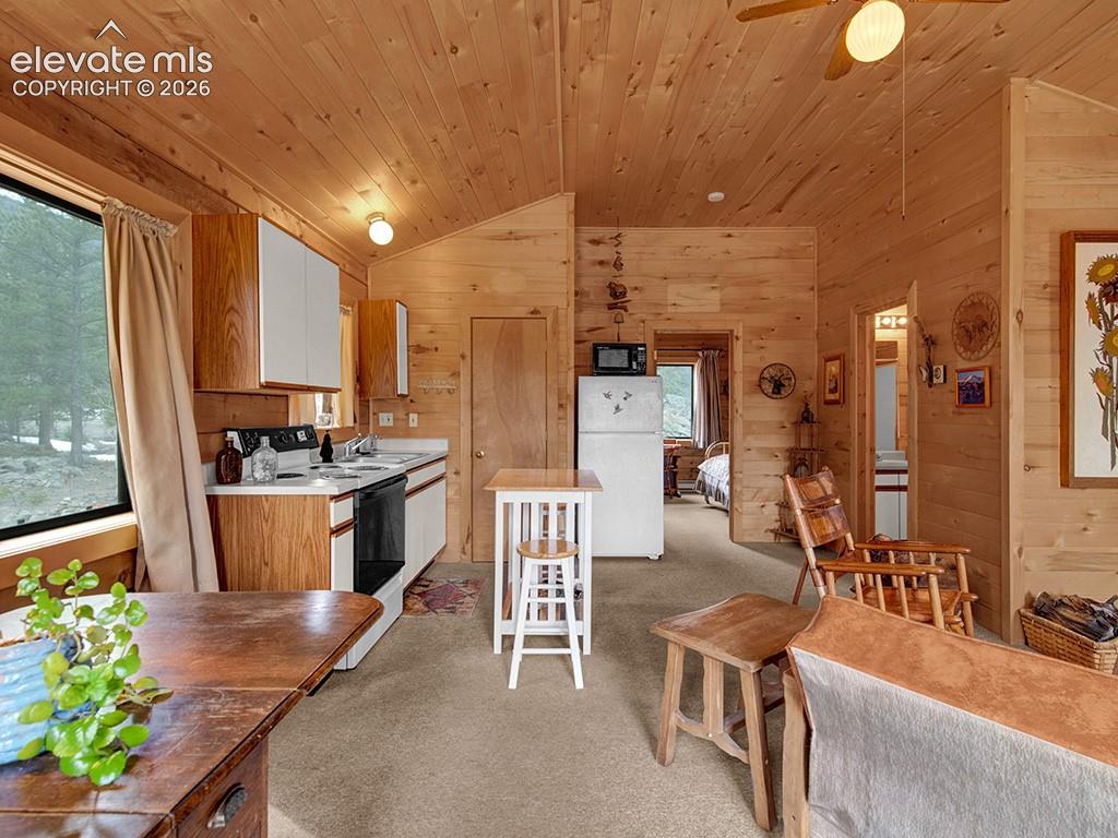 1462 Pulver Road Lake George, CO 80827 - Photo 6 of 25 a large kitchen with lots of counter space and stainless steel appliances
