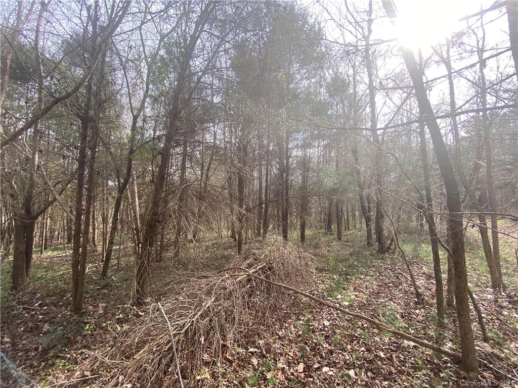 1 Jackson Road Salisbury, NC 28146 - Photo 13 of 13 a view of forest