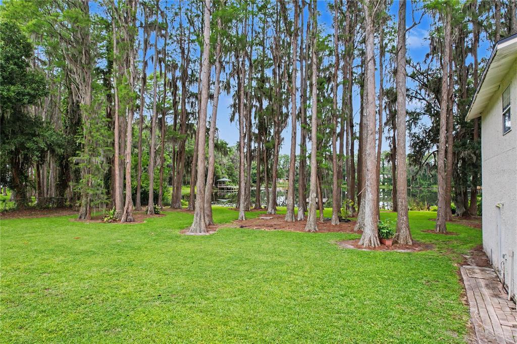 17305 Sherman Road Lutz, FL 33558 - Photo 74 of 89