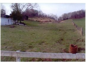 475 Doc Hawkins Road, Unit 1 Greeneville, TN 37745 - Photo 2 of 3 Photo 2