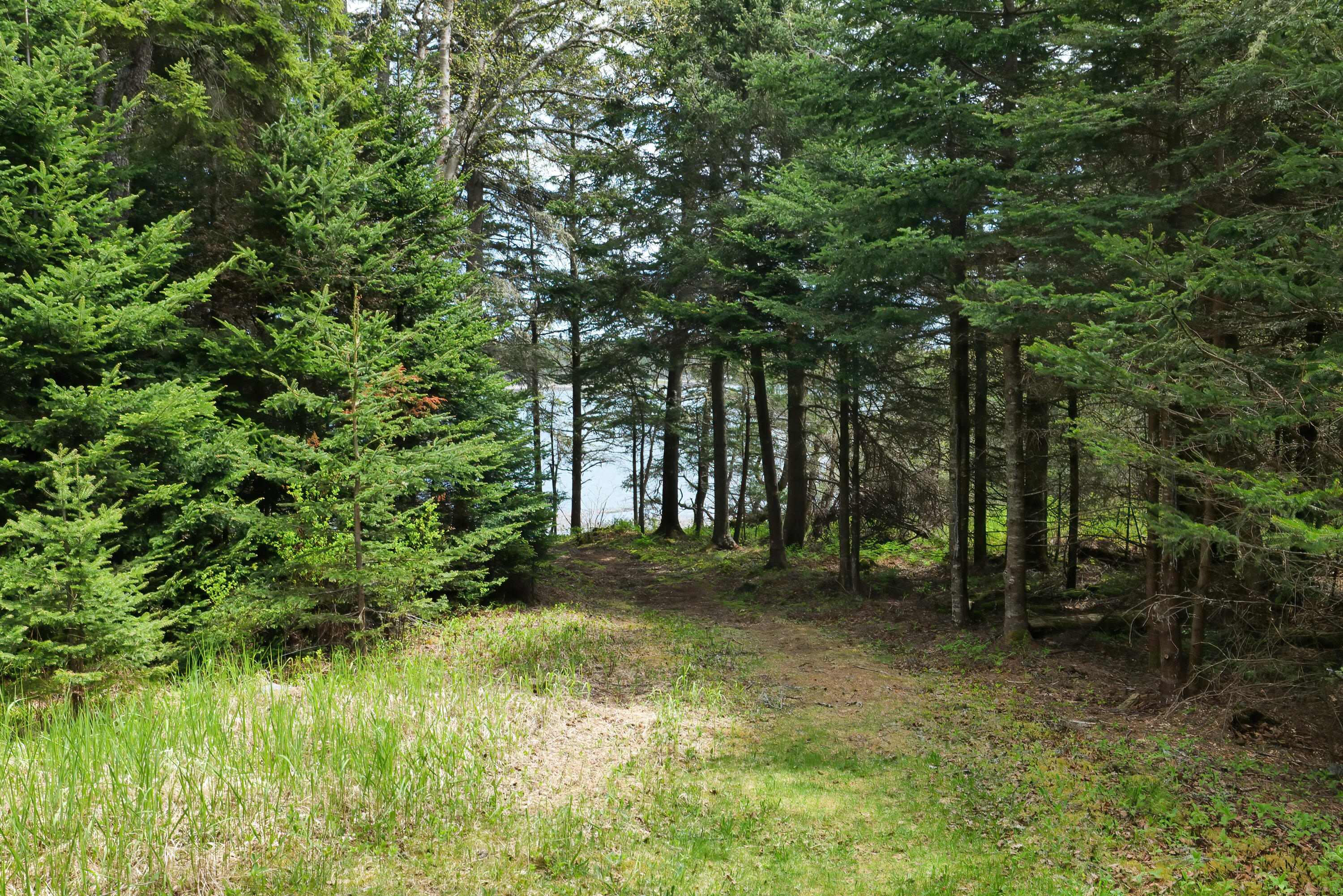56 Cape Circle Addison, ME 04606 - Photo 74 of 89 82-56 Cape Circle HiRes-DTP