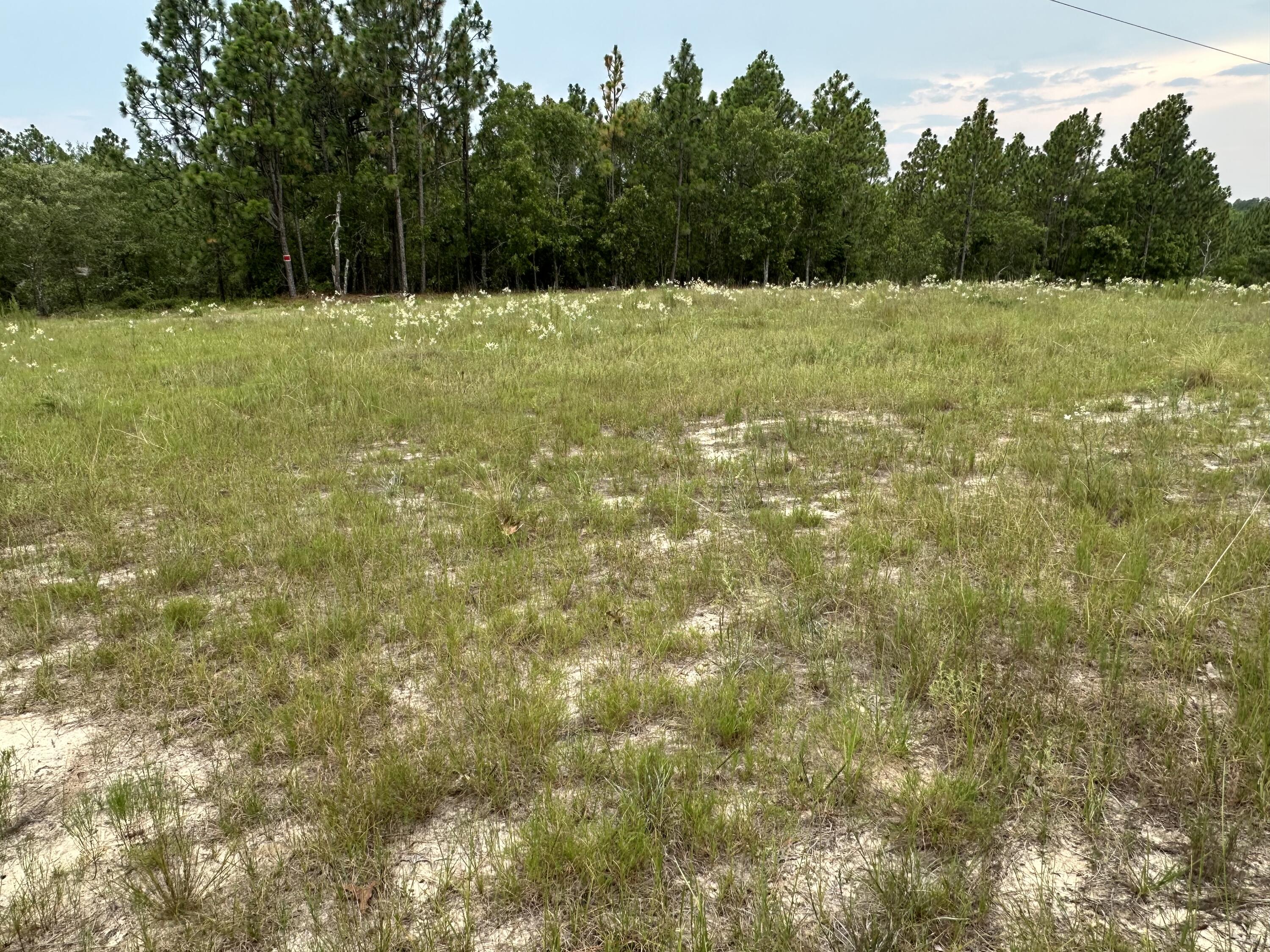 2070 Greenland Road Blythe, GA 30805 - Photo 3 of 4 IMG_6014