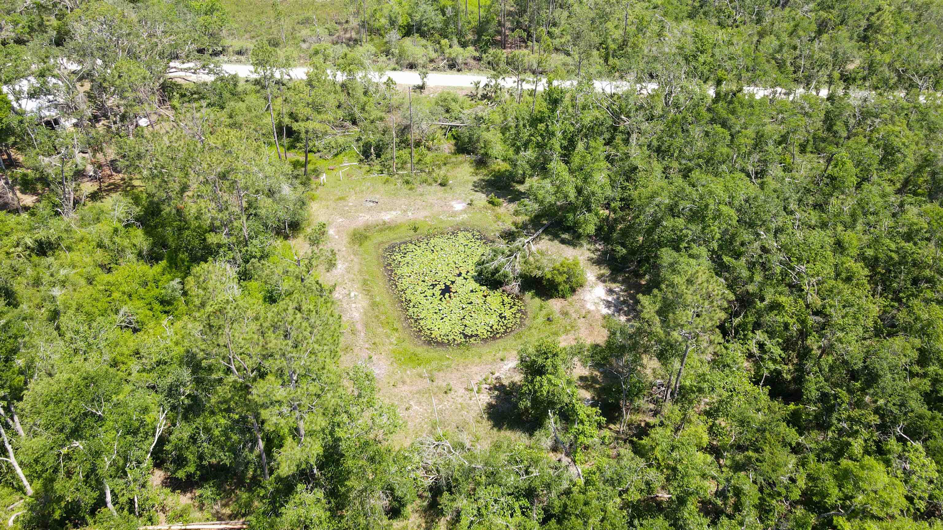 2411 Lonnie Houck Road Perry, FL 32348 - Photo 8 of 9