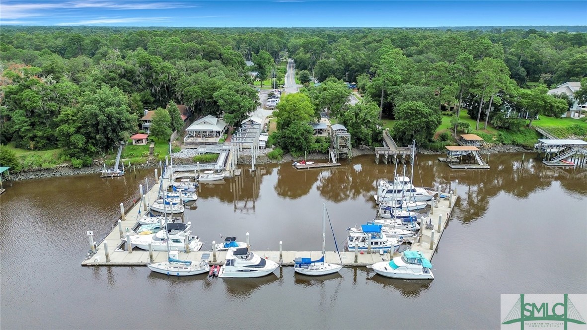 156 Coffee Bluff Villa Road Savannah, GA 31419 - Photo 2 of 45