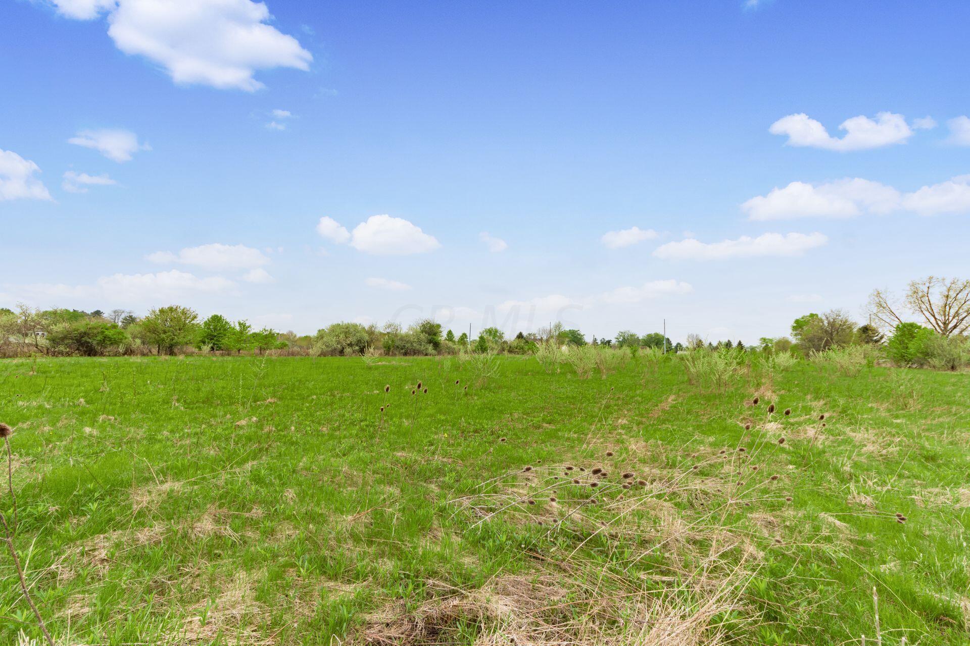 7657 Feder Road Galloway, OH 43119 - Photo 17 of 17 015_8195fbfe8e_Z Feder Rd 015
