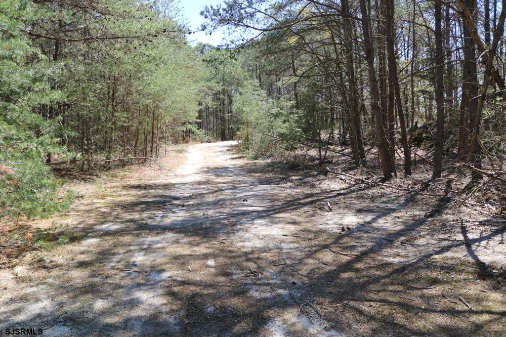 351 Shaws Mill Road Newport, NJ 08345 - Photo 6 of 84